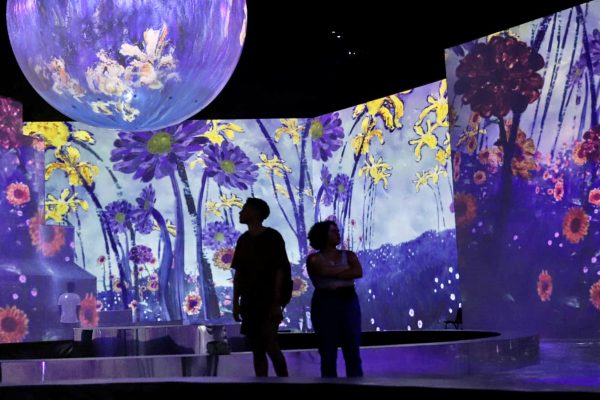 Exposições Gratuitas em São Paulo Que Você Precisa Conferir